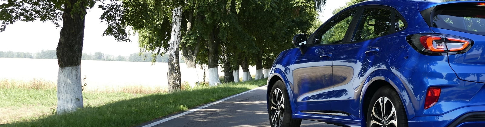 Blue SUV on rural tree lined boulevard