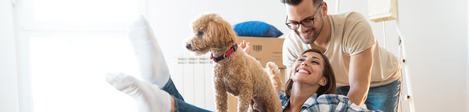 Man and woman playing with dog and packing boxes
