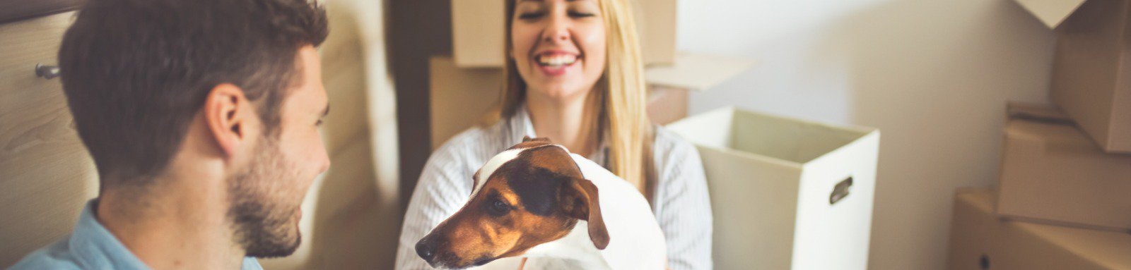 Man woman and dog sitting by pile of boxes