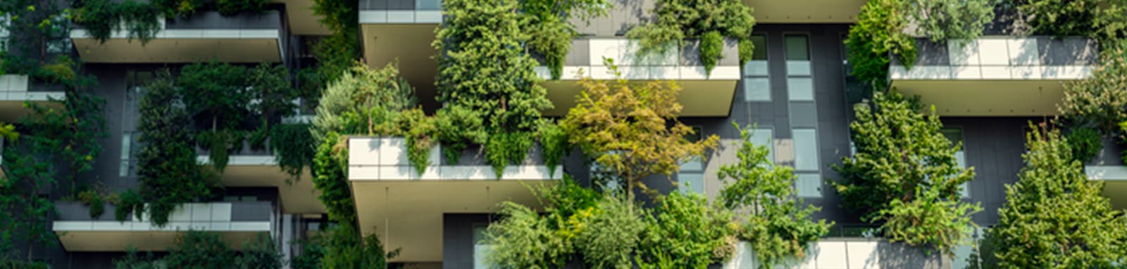 Leafy balconies on highrise building