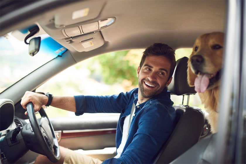 Man driving car smiling at dog in back seat